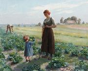 Aime Perret The lettuce patch painting